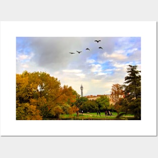 Autumn Trees Regent's Park London England Posters and Art